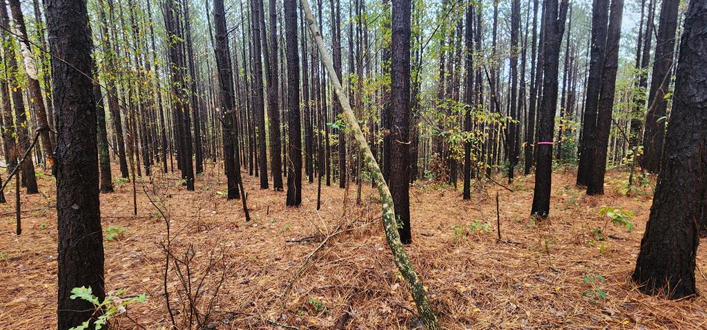 Listing Photo 133339