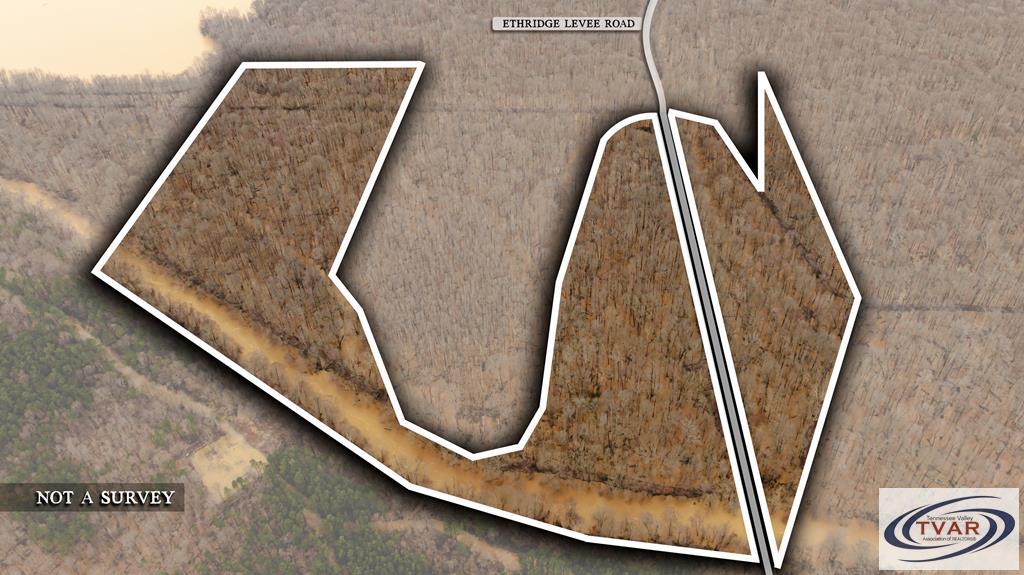 Listing Photo 133743