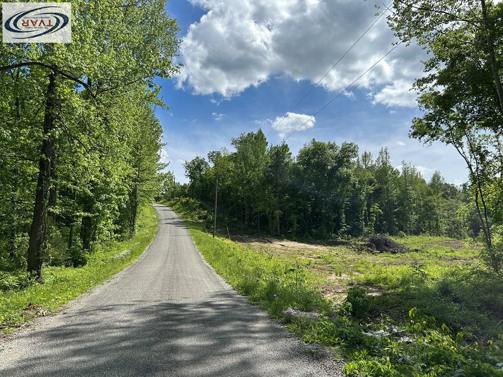 Listing Photo 134103