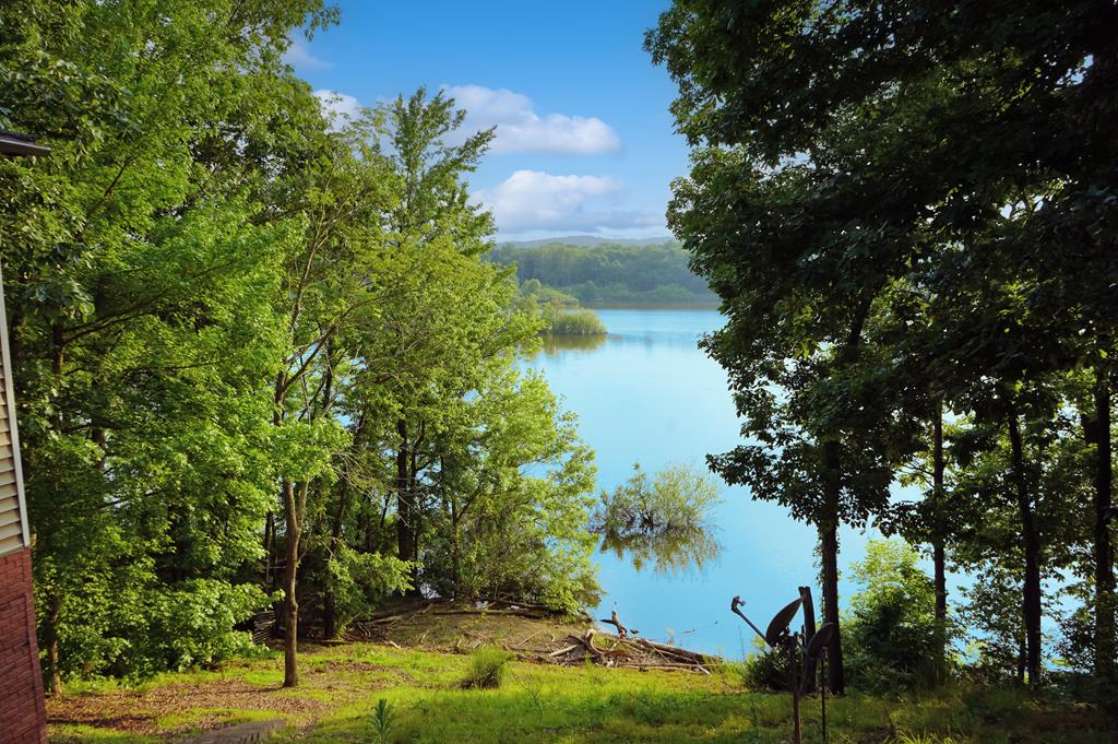 Listing Photo 134295