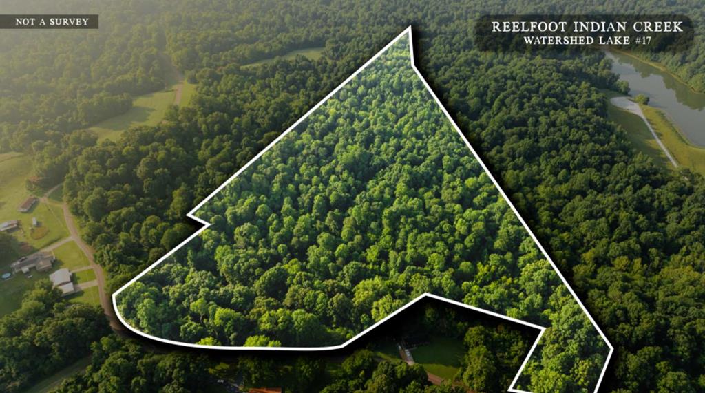 Listing Photo 134299