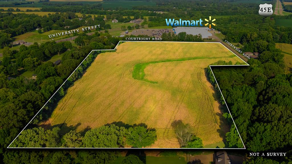 Listing Photo 134635