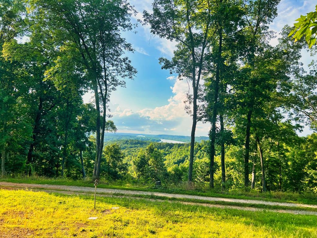 Listing Photo 134675