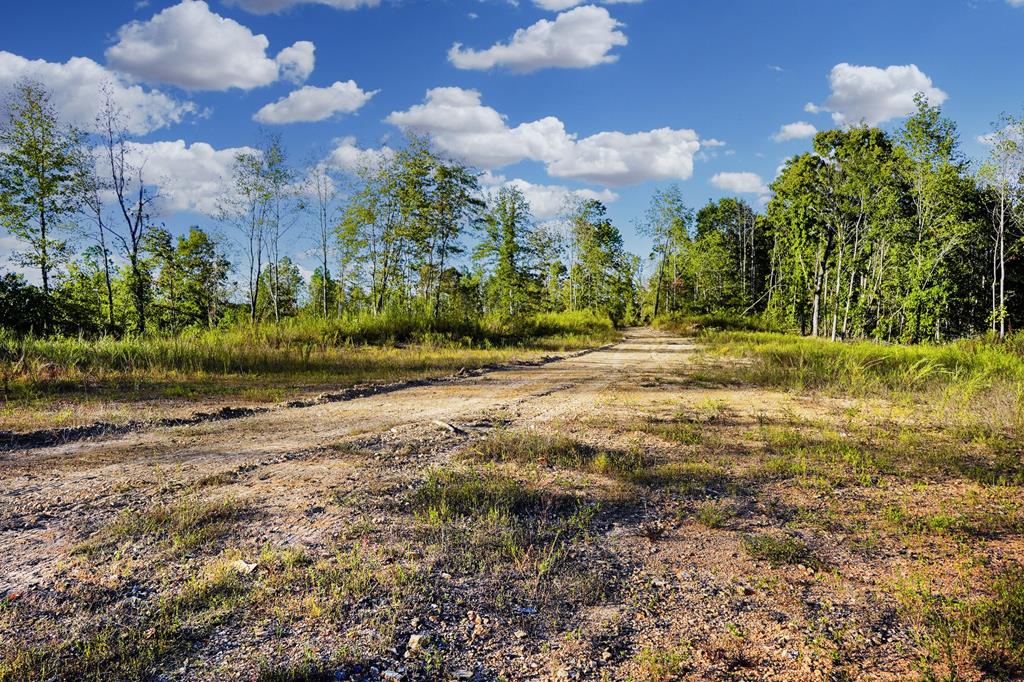 Listing Photo 134742