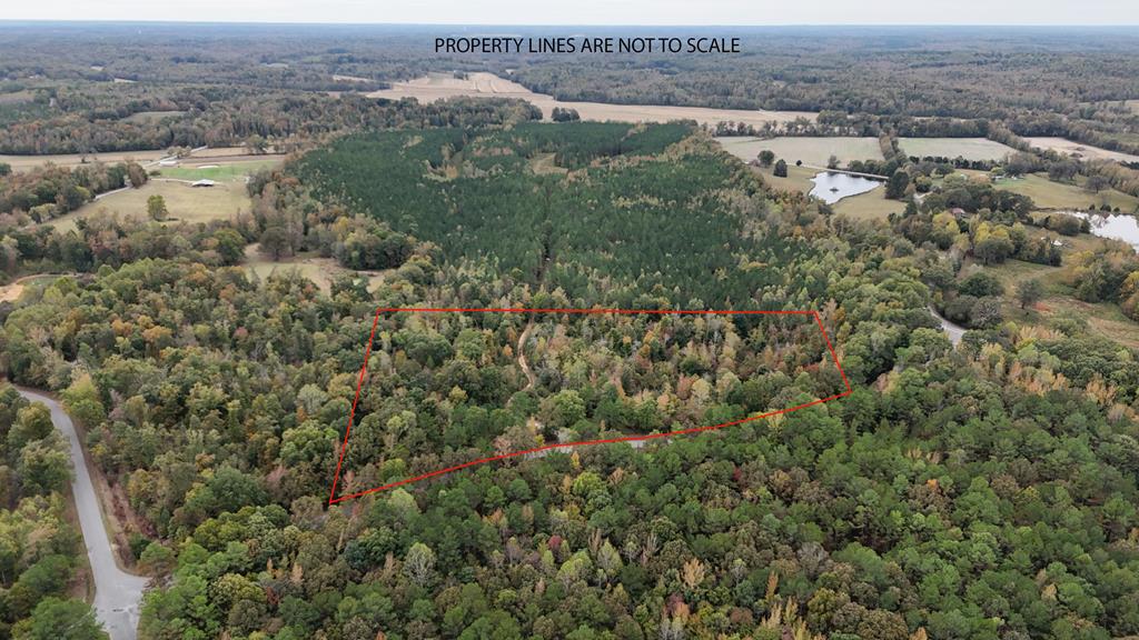 Listing Photo 134947